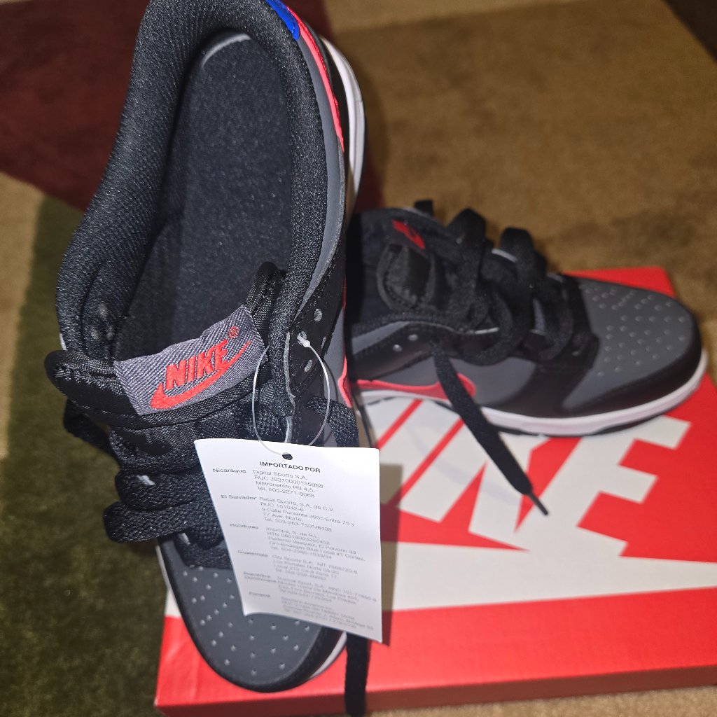 Brand New Nike Air Dunks